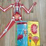 Make your own human body model Puzzle and book Image 3