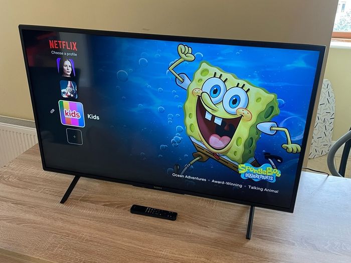 Sony Bravia 43 inch TV