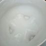 flower pot Image 4
