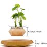 Plant Pot Floating Air Bonsai Pot Suspension Flower Pot Planter for Desk Decoration Image 5