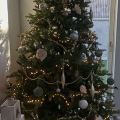Christmas Tree (excluding decorations)