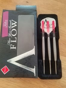 24g Fallon Sherrock Darts