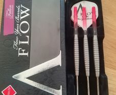 24g Fallon Sherrock Darts