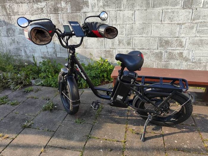 electric bike