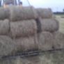 Mini round bales hay Image 4