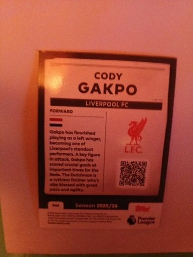 Match Attax Collectable Cards.