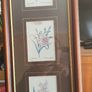 VTG BOMBAY COMPANY Framed Trio Floral Botanical Wall Art Prints Image 9