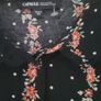 Capsule Ladies Blouse - Size 20 Image 3
