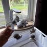 Snuz Pod Next To Me Bundle Image 3