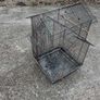 Bird Cages Image 3