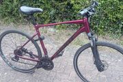 Giant roam 3