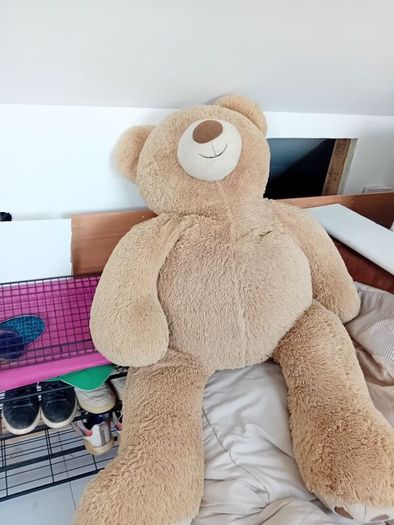 free big teddy bear