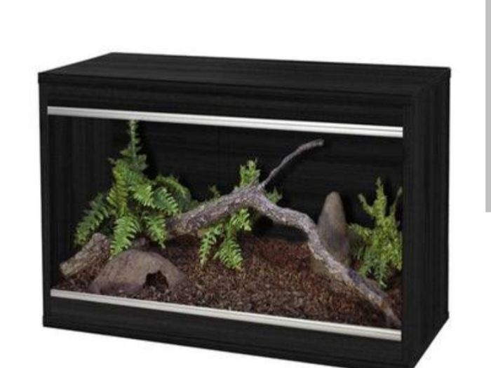 Reptile tank