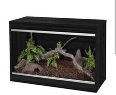 Reptile tank