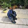 Cosatto Woosh 3 Stroller Image 9