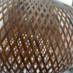 ceiling light