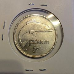 1935 irish silver florin