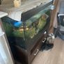 fish tank 200l Image 2