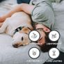 Dog Tracker, Pet Tracker with Dog Collar Tracker Holder, Dog Tracker with No Monthly Fees for Location Tracking, Work with Find My Only iOS, No GPS Image 6