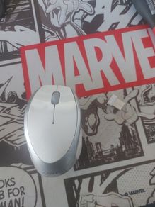 mouse
