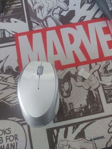mouse