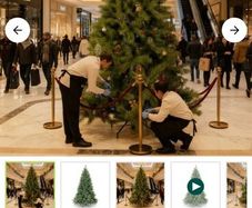 Christmas tree 15ft