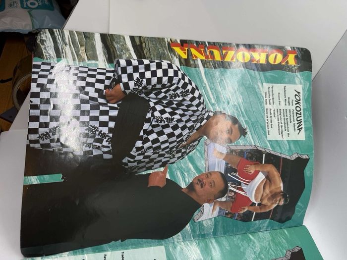 Wwe WWF European spring Tour 1993 Official souvenir Programme