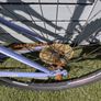 Girls Bike Image 3