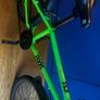 Frog 50 Image 3