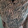 Gallery midi dress Image 6