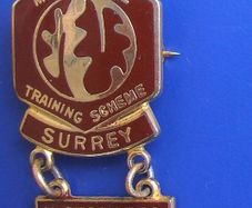 MOTORCYCLE TRAINING SCHEME (Surrey) - enamel badge with an INSTRUCTOR bar (c.1990's). Scarce with any added bar(s).