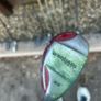 Array of Golf Clubs Image 10