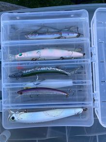 Fishing lures