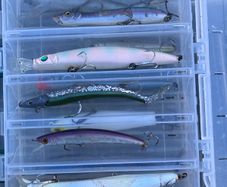 Fishing lures
