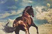 Bruce Springsteen - Western Stars.