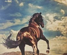 Bruce Springsteen - Western Stars.