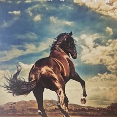 Bruce Springsteen - Western Stars.
