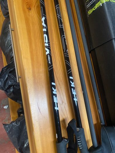 Pair of Ski Poles and Protective Case