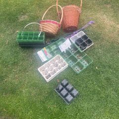Garden plant Containers and baskets
