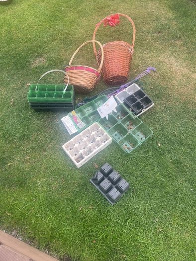 Garden plant Containers and baskets