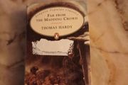 Far From The Madding Crowd