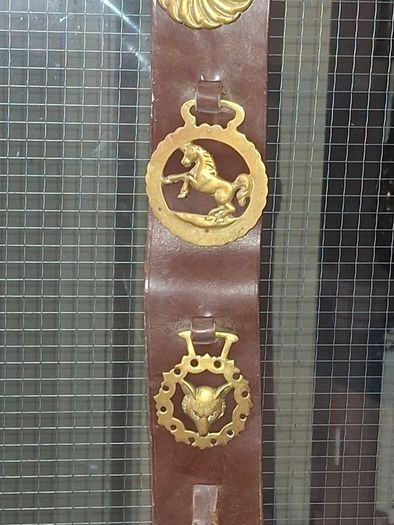 Antique Horse Brass Hanging Strap, Brown Leather Strip Mounted Five Brass Medallions Horse Brasses. Postage Available or Collection