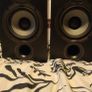 ELAC Debut  Bookshelf Speakers  Pair Image 5