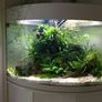 Aqua One 140L Corner Fish Tank Image 3