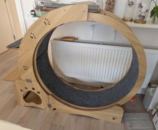 Muyuguit cat wheel