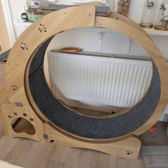 Muyuguit cat wheel