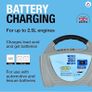 RING 8A Automatic Car Battery Charger Image 2