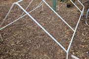 Plastic greenhouse