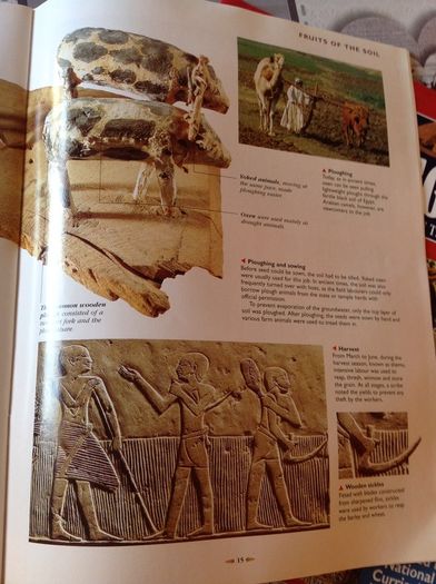 The Glory of Ancient Egypt.  Issue 1