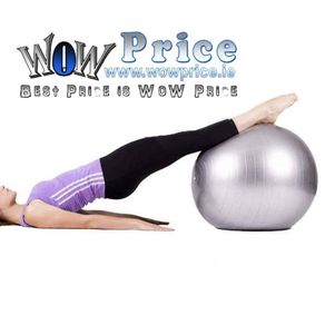 65 Cm Gym Yoga Ball Exercise Swiss Fitness Pregnancy Birthing Anti Burst + Pump